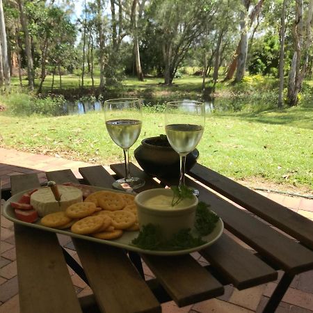 Noosa Lake Weyba Weyba Downs Exteriör bild